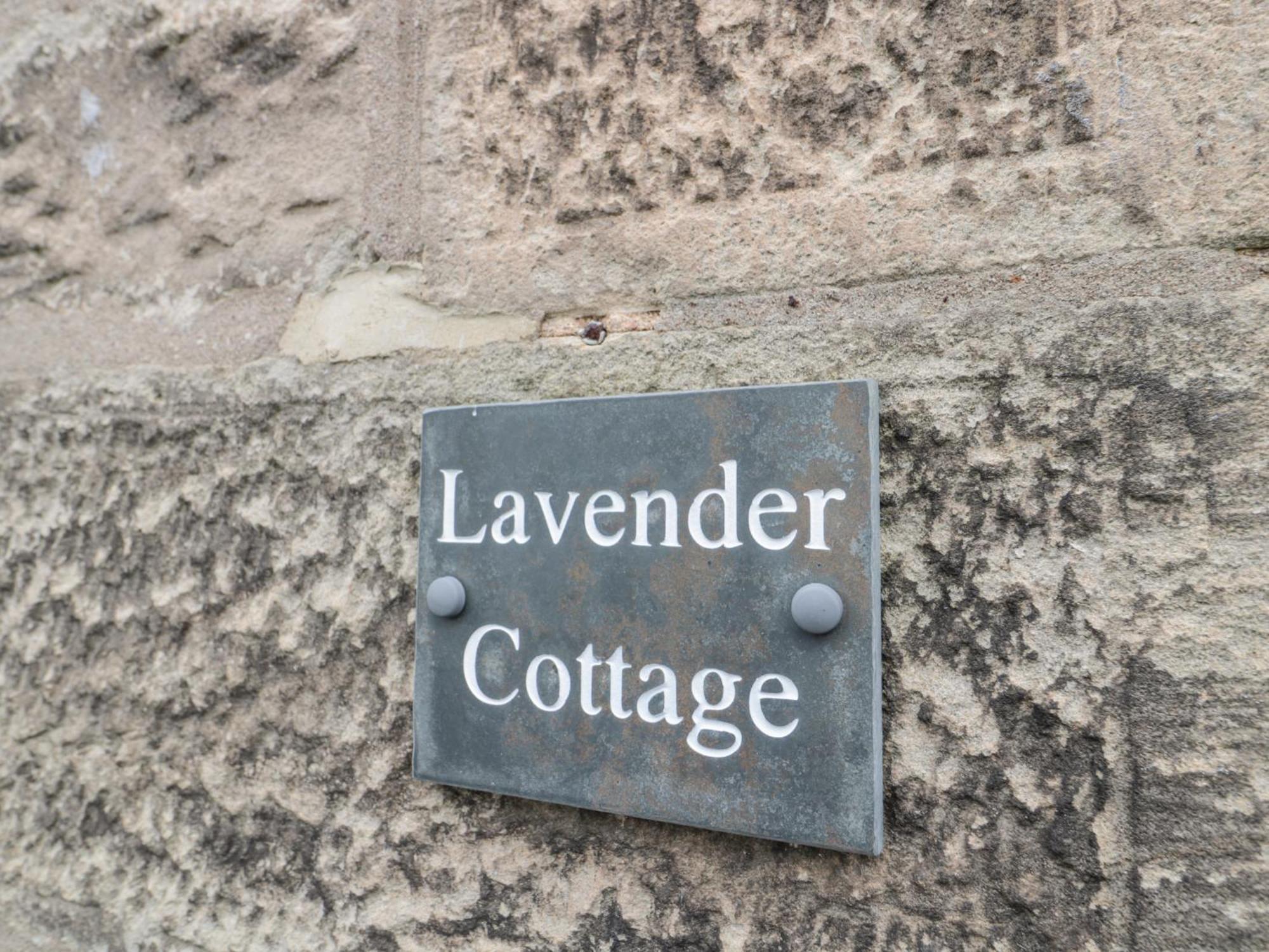Lavender Cottage 阿尼克 外观 照片